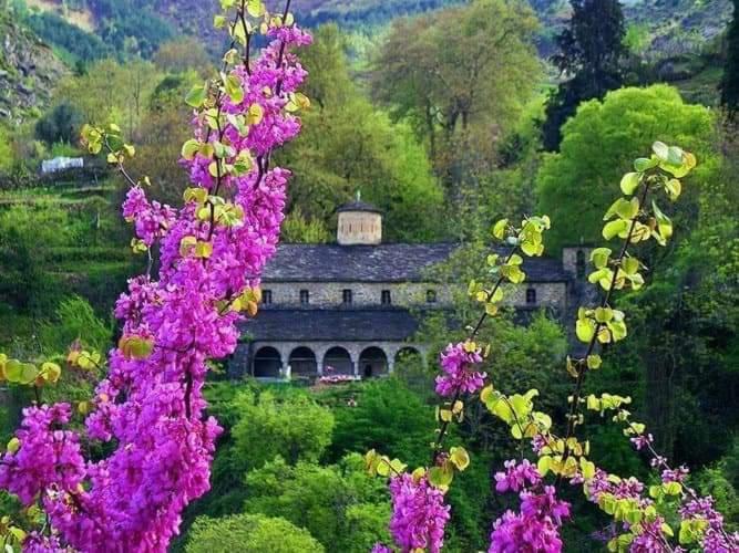 Villa Eagle House Përmet Esterno foto